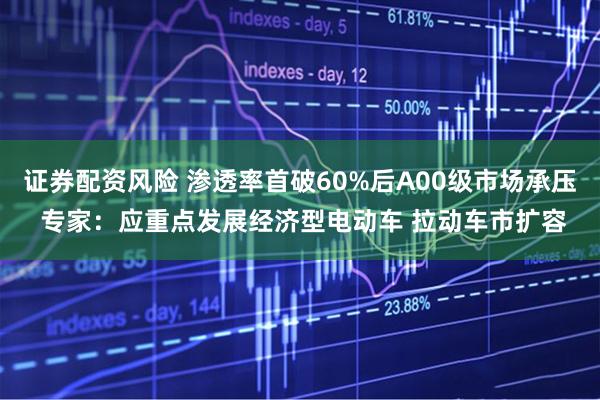 证券配资风险 渗透率首破60%后A00级市场承压 专家：应重点发展经济型电动车 拉动车市扩容